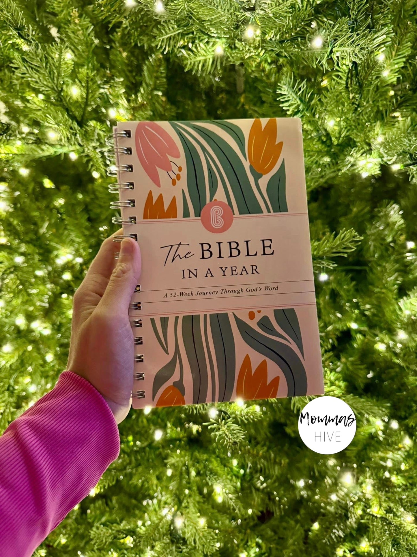 The Bible In A Year