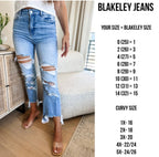 Urban Distressed Crop Jean