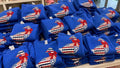 Patriotic Granny Goose Embroidered Appliqué - Closes 5/12