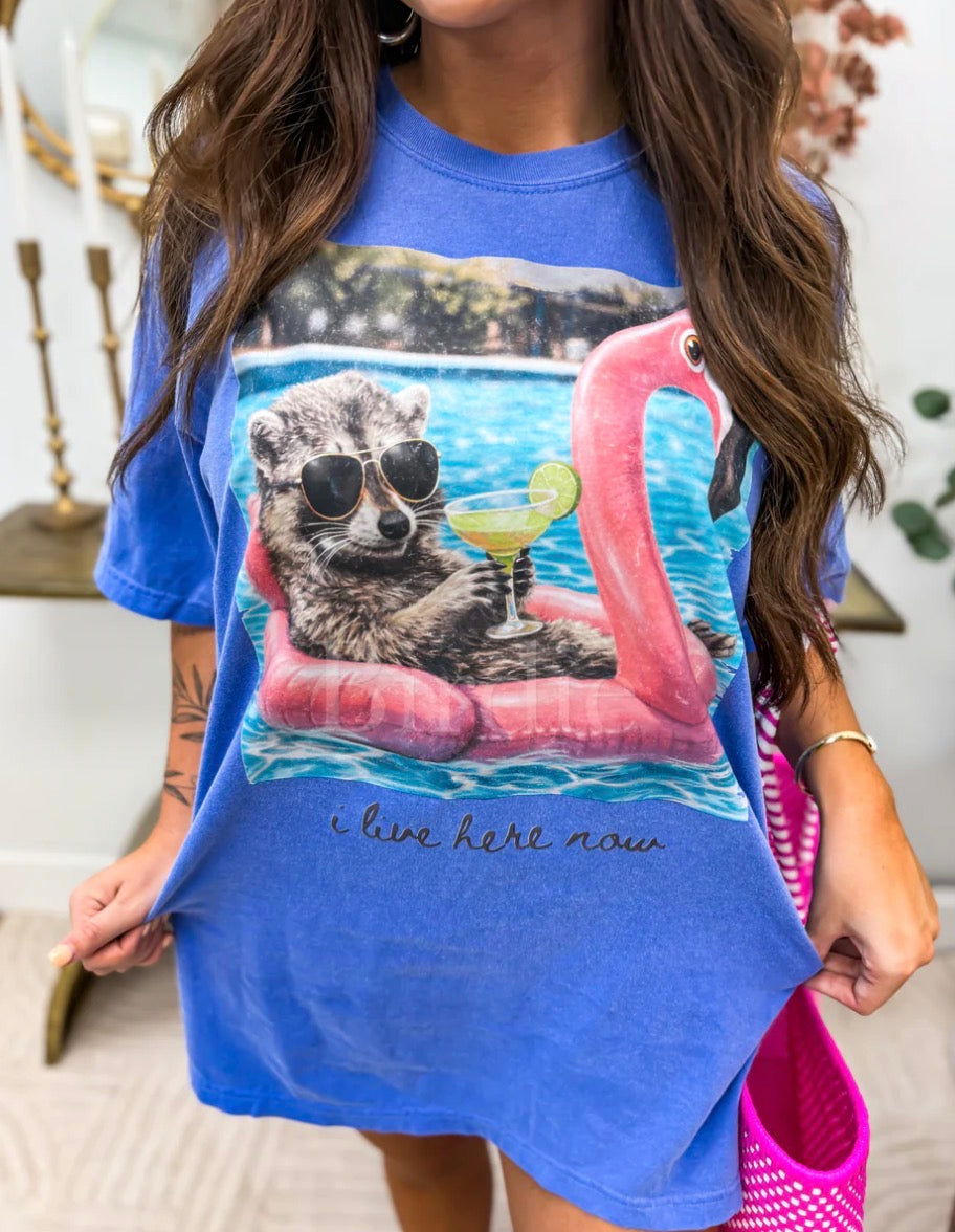 Small graphic t-shirt from Bird & Co Wholesale Tees, "I Live Here Now" Summer Edition, featuring bold text design.