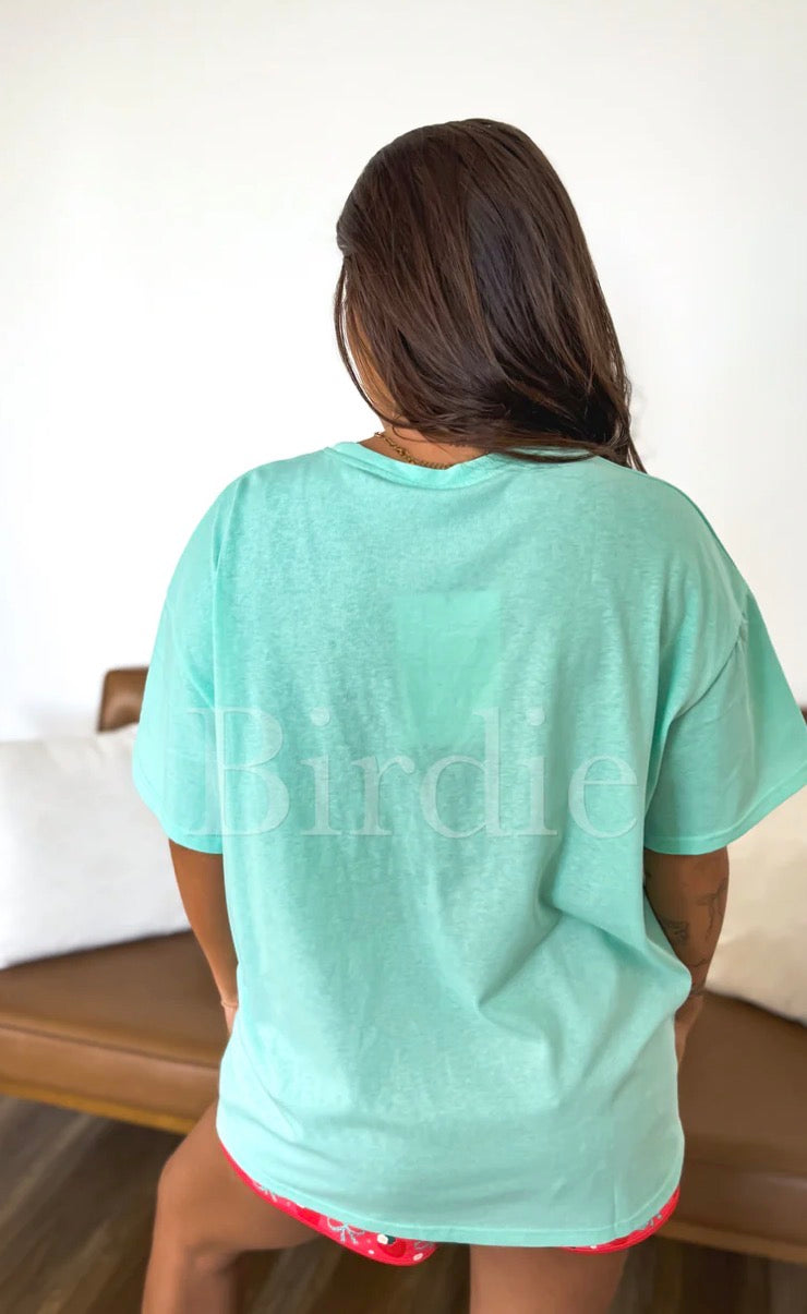Mint relaxed boyfriend tee by Bird & Co Wholesale Tees, casual fit, soft fabric, displayed on a hanger.