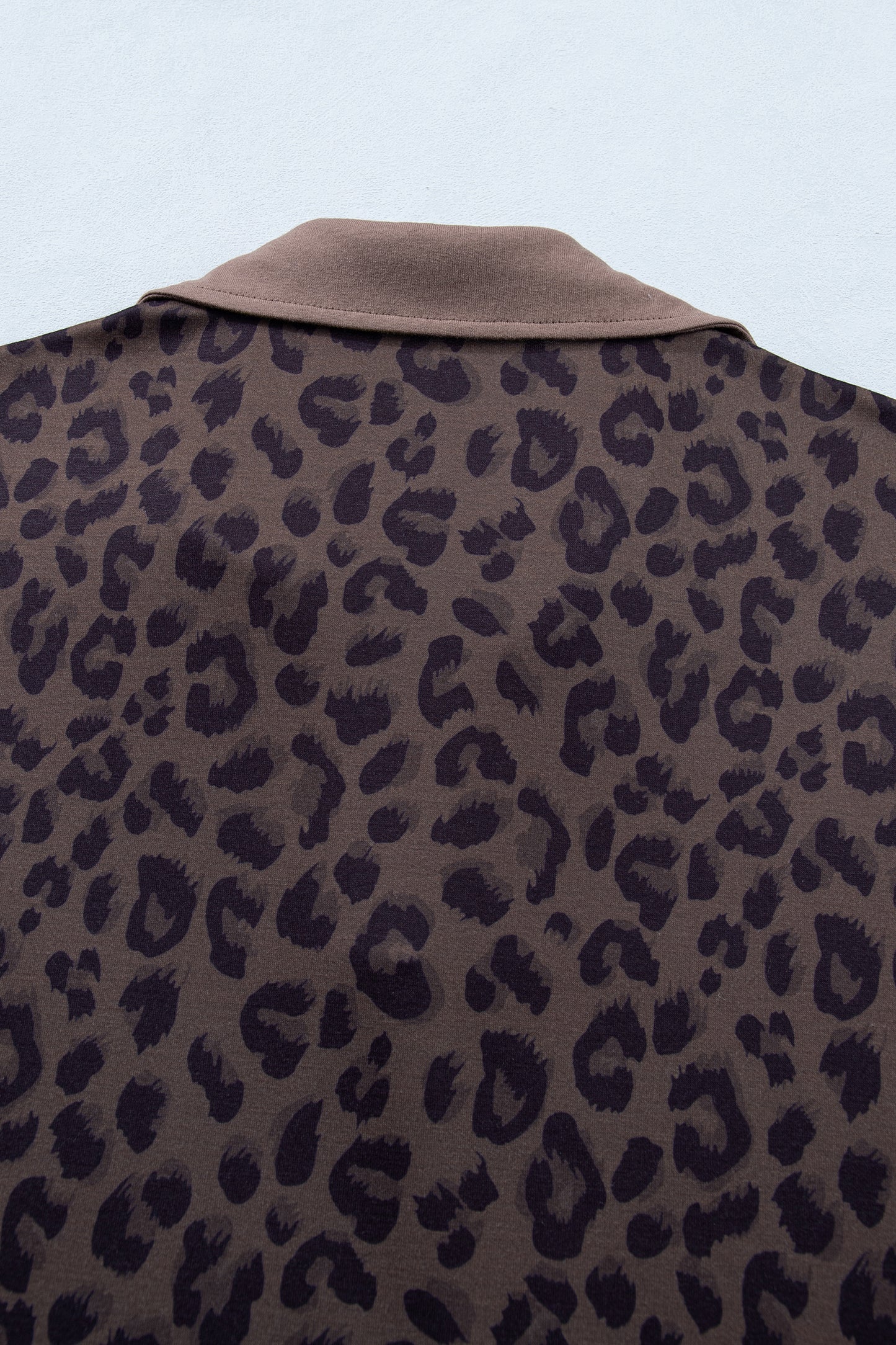 Brown V Neck Collar Leopard Printed 2pcs Short Set