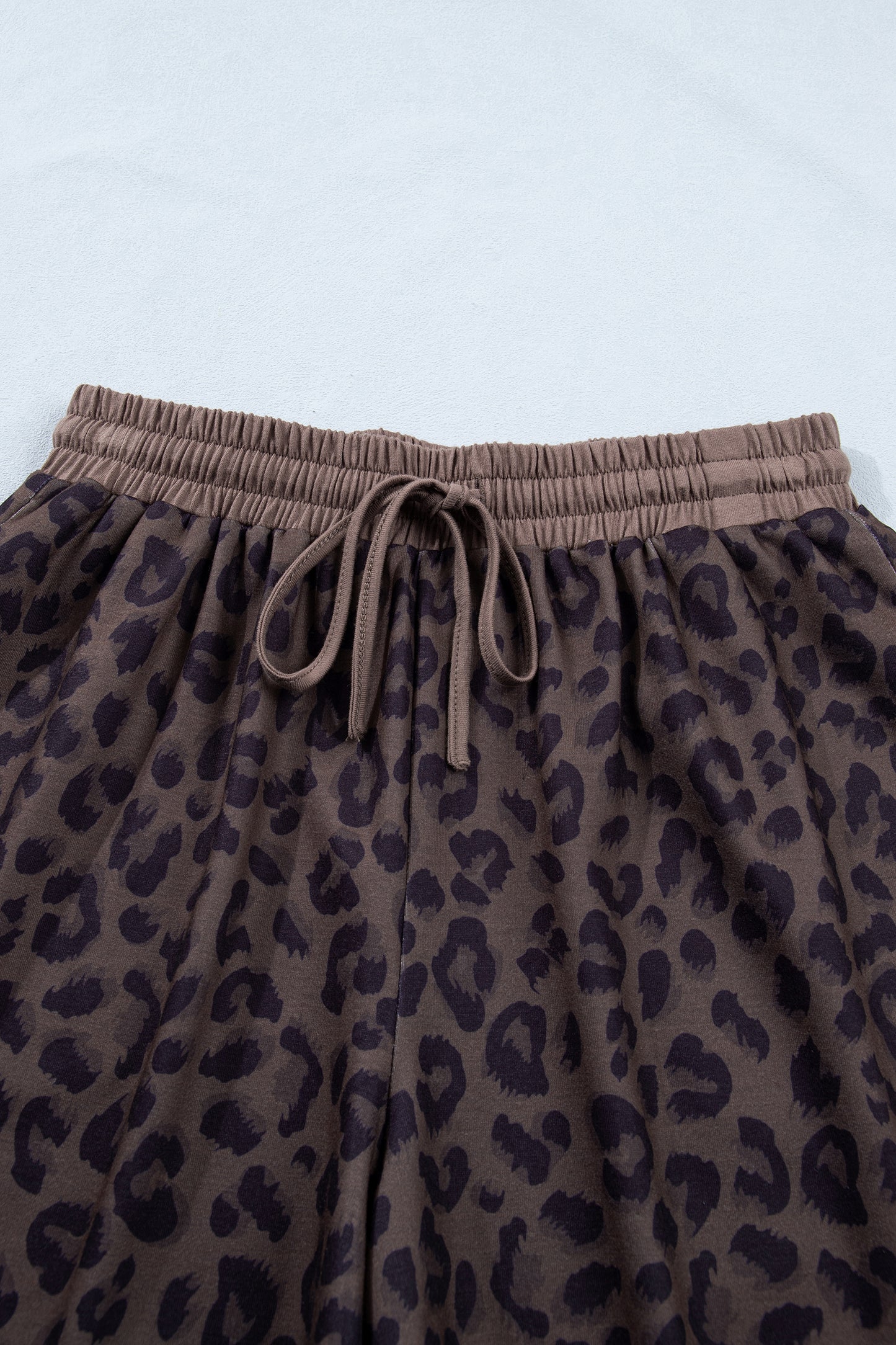 Brown V Neck Collar Leopard Printed 2pcs Short Set