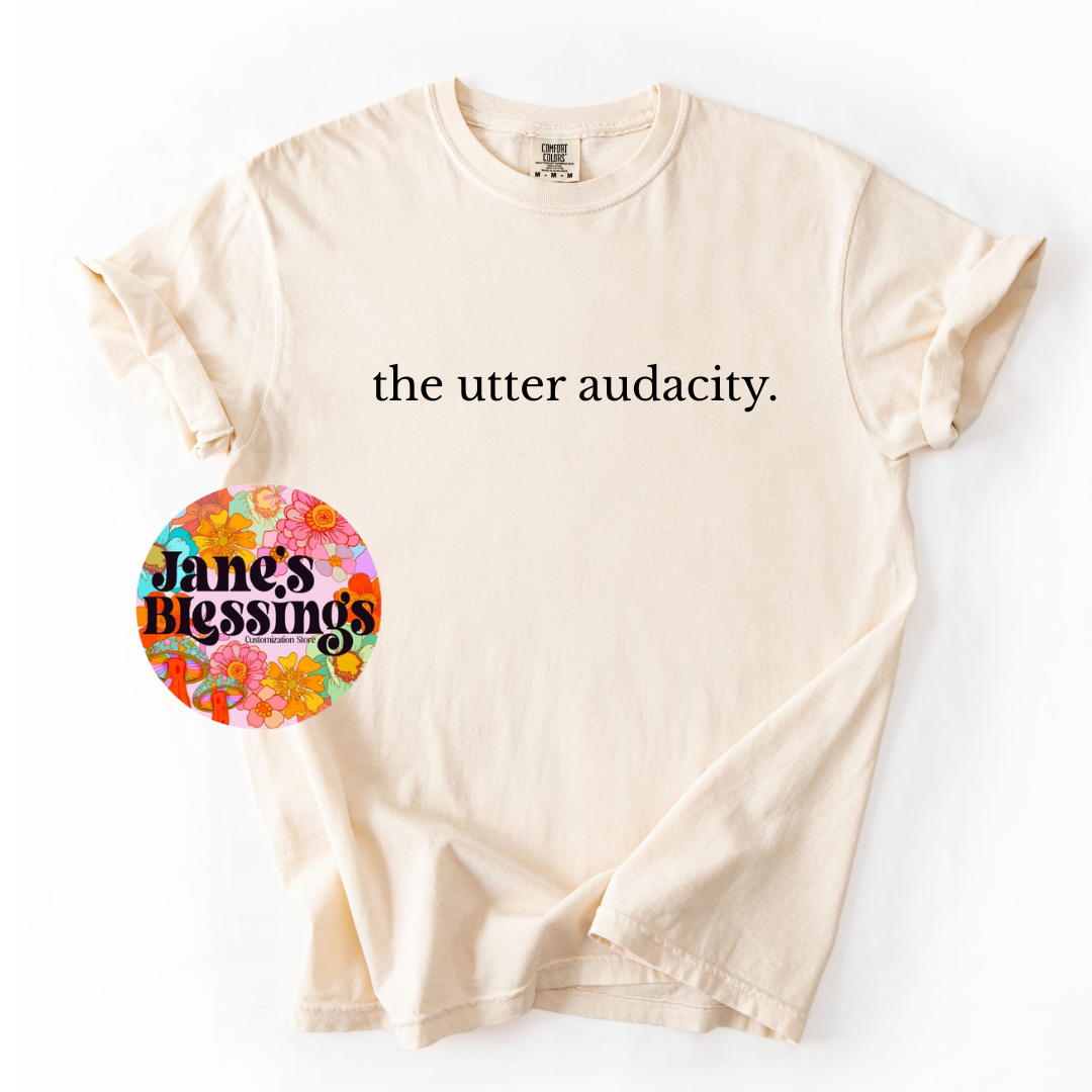Gray sweatshirt from JANES BLESSINGS titled The Utter Audacity featuring a relaxed fit and bold graphic design.