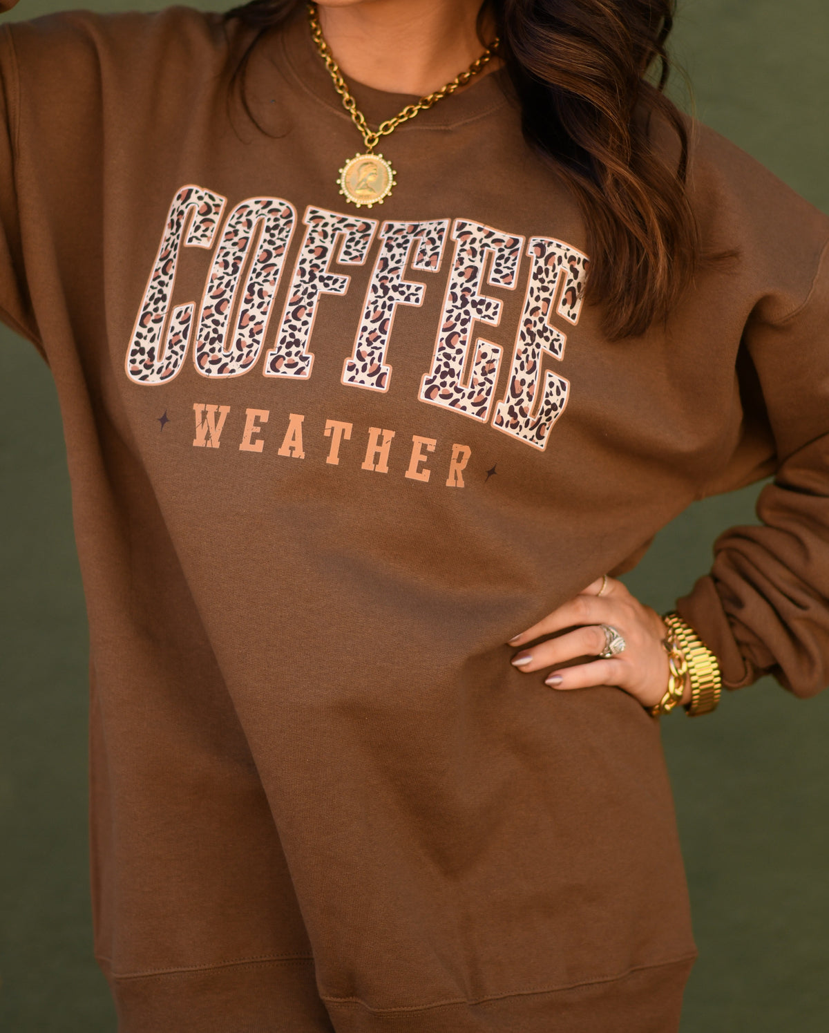 Brown Coffee Weather Leopard sweatshirt by P&PD Wholesale featuring a stylish leopard print design on soft fabric.