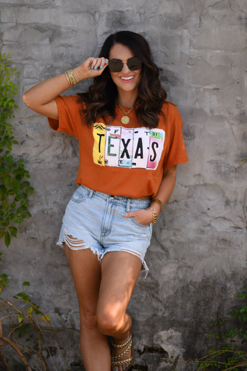 Autumn Texas License Plate T-shirt by P&PD Wholesale featuring a vintage license plate graphic on soft fabric.
